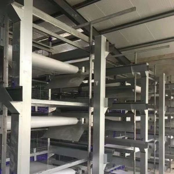 肉雞全自動清糞機